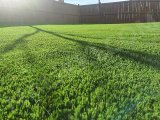 artificial grass, Astro turf, synthetic grass, Grass at wholesale rate Valencia Town, Lahore