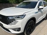 Haval H6 2024 zero meter