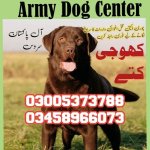 Army Dog Center 03458966073