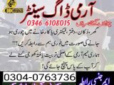 Army dog center bhakkar leyya Kotaddo 0304-0763736