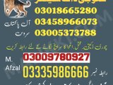 Army Dog Center Quetta 03009195279 (sniffingdogs)