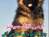 Army Dog Center Attack 0304-0763736