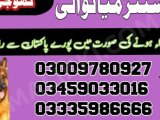 Army dog center mianwali 03009195279,khoji dog center mianwali