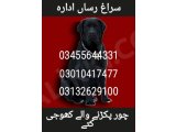 Army dog center 03010417477 (کھوجی کتے)