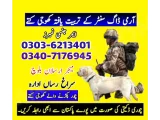 ARMY DOG CENTER OKARA 03036213401.