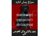 Army dog center kashmir 03455644331