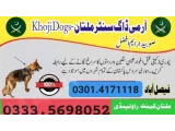 Army Dog Center Jhang 03454760111