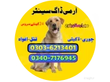 Army Dog Center Hyderabad 03036213401 | Khoji Dog Center Hyderabad 