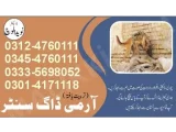 Army Dog Center faisalabad 03335698052