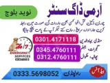 Army Dog Center Peshawar 03454760111