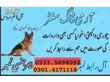 Army Dog Center Lahore 03124760111