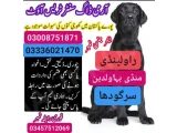 Army Do Center Islamabad  03454760111