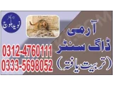 Army Dog Center Attock 03454760111