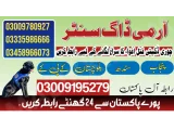 Army Dog Center Battagram 03458966073 (khoji dogs in Batagram)