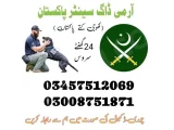 Army Dog Center Rawat 03455606639