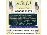 Army Dog Center swat 03336021470