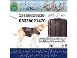 Army Dog Center Fateh Jang 03457512069