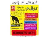 Army Dog Center abbottabad 03008751871