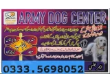 Army Dog Center Jhelum 03454760111