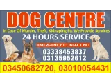 Army Dog Center Rawalpindi 03010054431