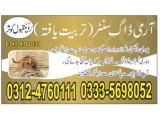 Army Dog Center Khanewal 03454760111