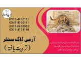 Army Dog Center Shorkot 03335698052