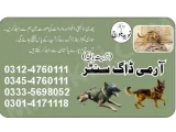 Army Dog Center Shorkot 03014171118