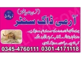 Army Dog Center layyah03124760111