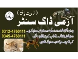 Army Dog Center Kasur 03124760111