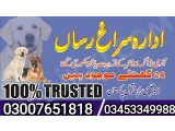 Army Dog Center Peshawar 03453349988